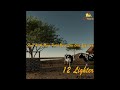 A2 Di Fulani - Lighter [Official Lyric Video]