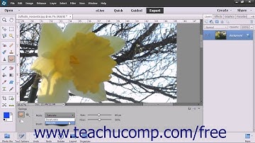 Photoshop Elements 13 Tutorial The Sponge Tool Adobe Training