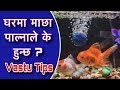       aquariumvastu tips for home