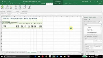 Excel Module 11 Project Steps 8-11