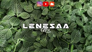 Download Lagu DJ YELS x DADDY ANDRE - NGUWAYO ZOUK REMIX 2022 MP3