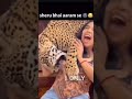 Dekho lion Gandu Dekho 😃😃🤣🤣 #cat #kitten 😋
