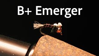 How to tie the B+ Emerger | Fly Tying Tutorial