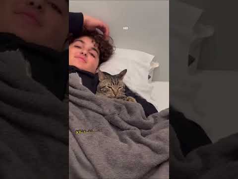 Video: Tại sao My Cat Peeing bên ngoài hộp rác?