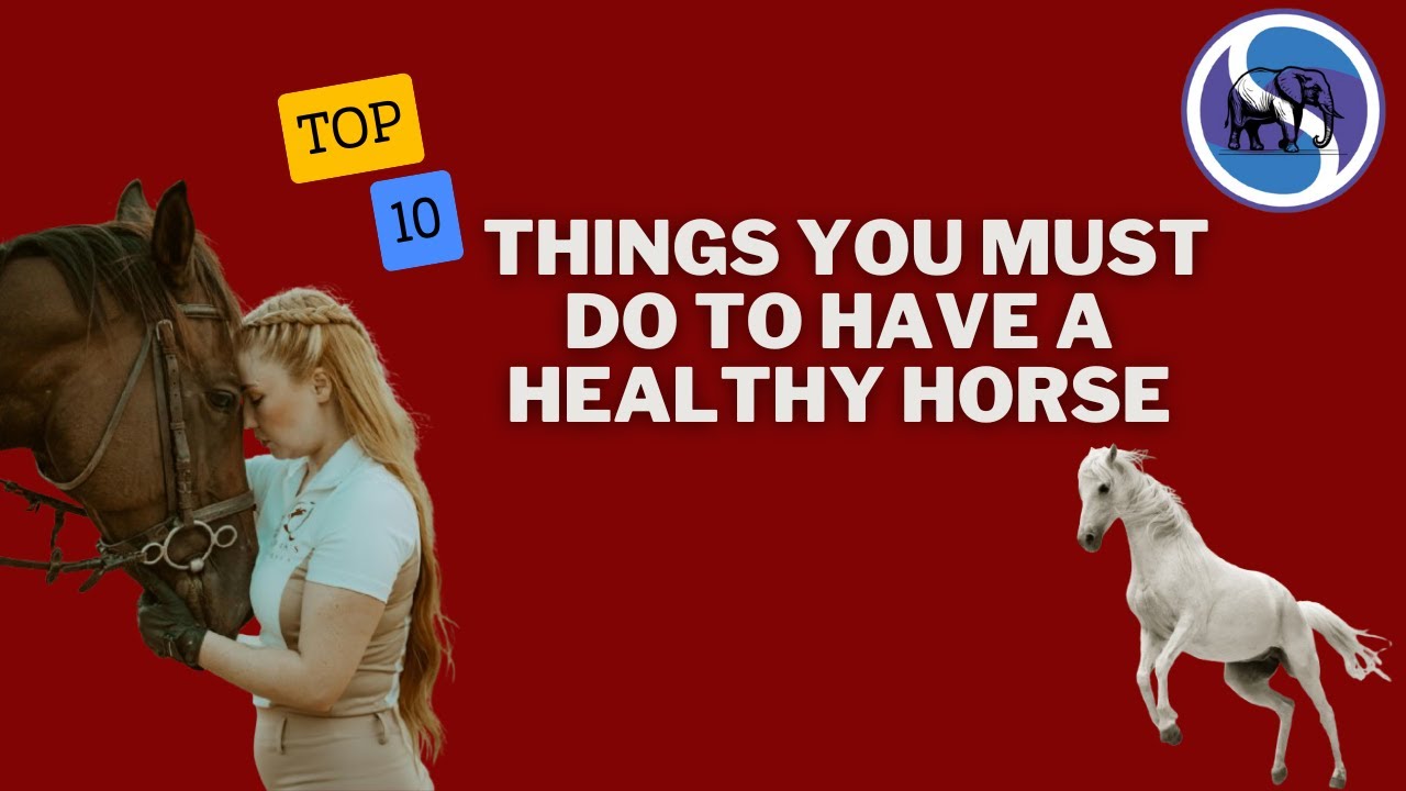 TOP 10 THINGS YOU MUST DO TO HAVE A HEALTHY HORSE