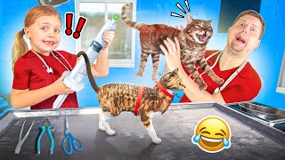 Adopt Cats at NEW Animal Shelter! We found TICKS!! (Sim Game) screenshot 5
