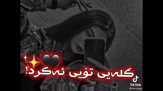 خۆشترین گۆرانی کوردی میرشاد ئاری2021 Xoshtrin Gorani Kurdi Mershad Arii2021