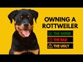 Owning a rottweiler the good the bad the ugly