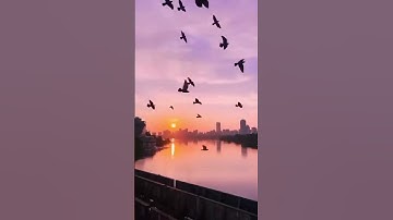 تلاوة مريحة و عذبة للمنشاوي تأخذك لعالم ثاني #قرآن قرآن #المنشاوى #تلاوة_خاشعة تلاوات نادرة
