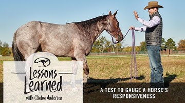 Lessons Learned: A Test to Gauge a Horse