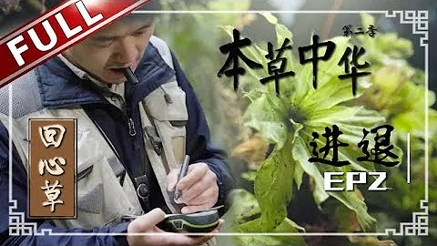 【FULL】《本草中华2》第2集 借由本草之道探索人生棋局 做成标本11年的“九死还魂草”还能复生？“Herbal China”-S2 EP2【东方卫视官方高清HD】 - 天天要闻