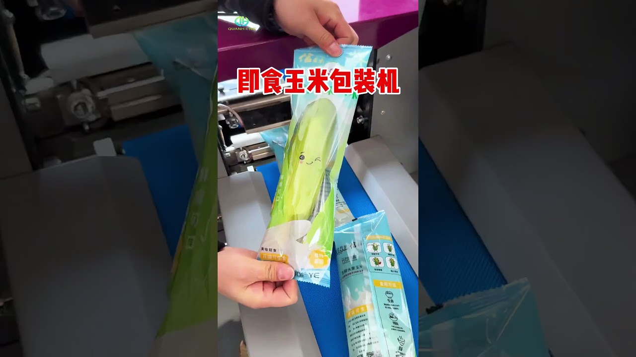 Automatic Vacuum Pillow Bag Packaging Machine for Food | Horizontal Flow Pack Vacuum Sealer 2025