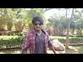 kopanga kopanga cover song| mr.majnu| by VIGNESHREDDY| DYNAMIC ENTERTAINMENT Mp3 Song