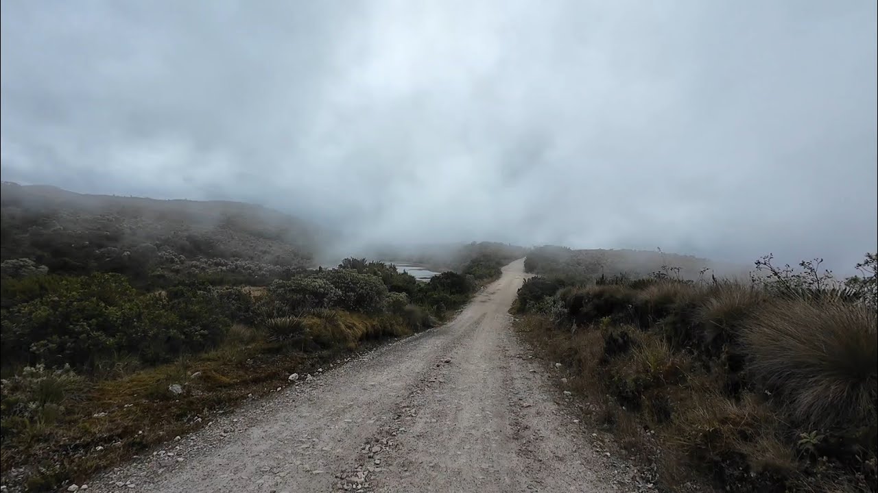 Naujieji atėjo anksčiau