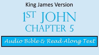 1st John 5 | KJV DRAMATIZED AUDIO BIBLE WITH TEXT