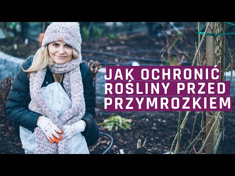 Wideo: 6 sposobów na ochronę malucha przed zimowymi błędami