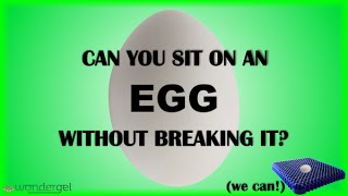 WonderGel Shows How to Sit on an Egg Without Breaking It!