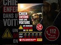 #Chien enfermé dans une voiture en plein soleil : un danger mortel en 10Mn