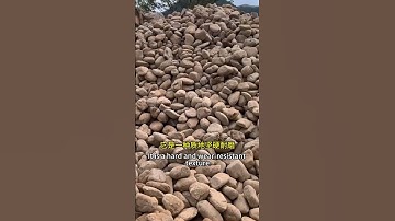 #rollerscreen #automobile #crushingandscreening