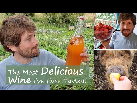 How to Make Strawberry Wine - Easy Recipe For Beginners