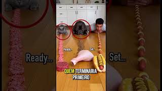 Cachorro, Gato e Homem disputam comida numa corrida 😱🐶🐱