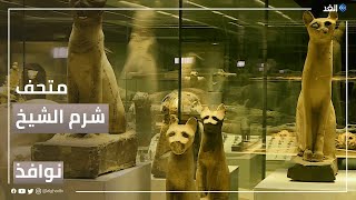 متحف شرم الشيخ.. مقصد جديد يضاف إلى خريطة مصر السياحية | #نوافذ