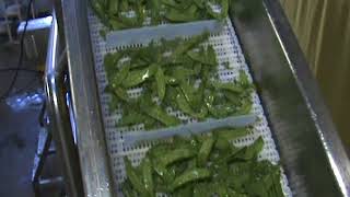 Lavadora de Frutas y Vegetales 2 Etapas