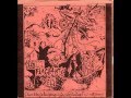 Miniature de la vidéo de la chanson Dance Of Taurus (La Nef Des Fous Remix)