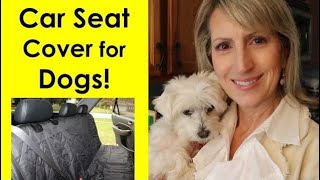 CAR SEAT COVER FOR DOGS | REVIEW! mp4