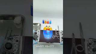 Adorable Yellow Bell Peppers Happy Checkup