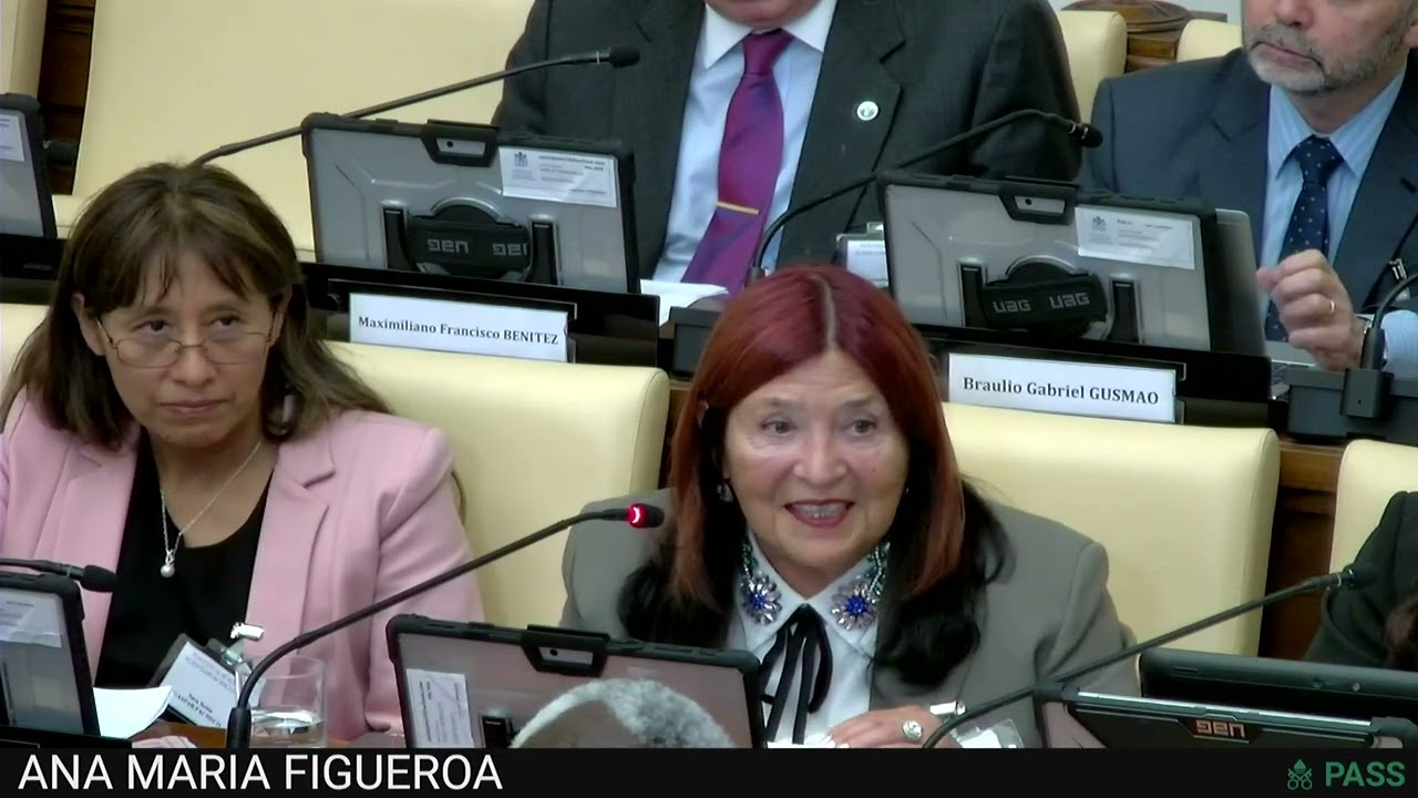 56 President Ana María Figueroa – Diez ideas principales para llevar a la práctica