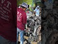 #engine #mechanic #engineblock #machine #automobile #diesel #dieselengine #turbochargedengine