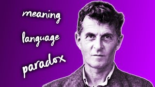 Wittgenstein and the Rule Following Paradox