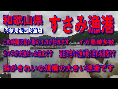 #53すさみ漁港周参見港西防波堤海がきれいな規模の大きい漁港五目で色々な魚が良く釣れる漁港カマスが大漁だった波止です家族連れサビキ釣りに良いダンゴ釣りに良しイカ墨跡多数人気のアオリイカ釣りポイントです