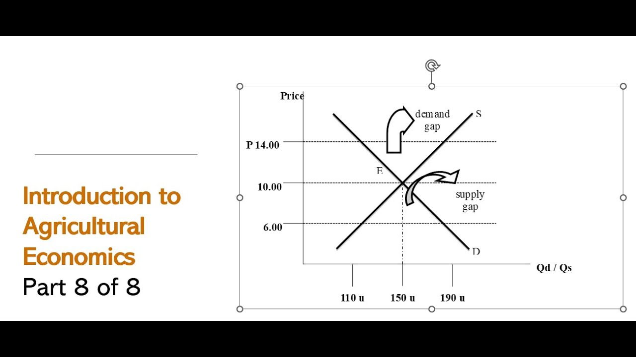 Introduction to Agricultural Economics Part 8 of 8 YouTube