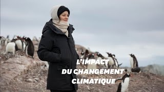 Marion Cotillard en Antarctique avec Greenpeace