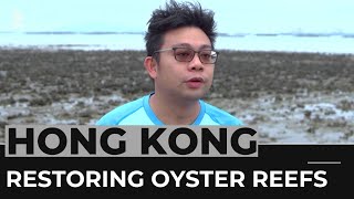 Conservationists work to restore Hong Kong’s oyster reefs