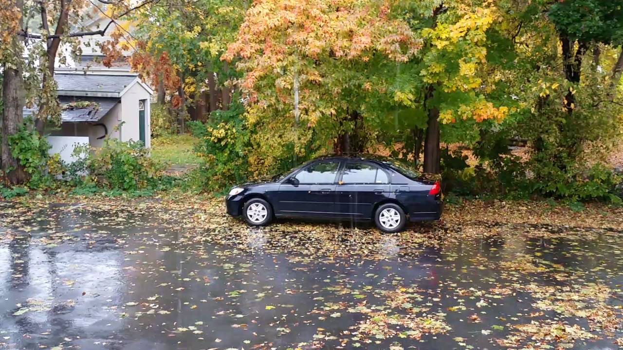 Raining Leaves on Car! Don't park under trees lol - YouTube