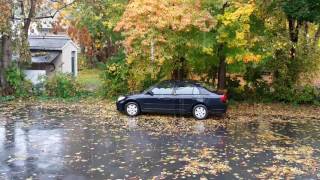 Kind of hilarious i think. car parked under tree in flooding rains
here glens falls ny today 10-20-16. raining leaves. someone needs to
invent a leaf scra...