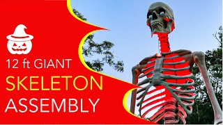 Halloween 2023: Assembling the 12 ft GIANT Skeleton From Home Depot!
