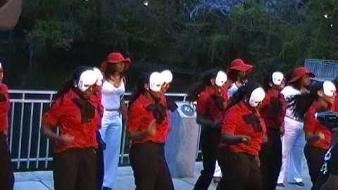Delta Sigma Theta Lambda Psi 2010 Probate Part 4