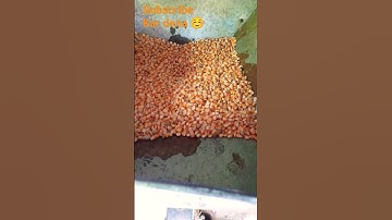 Flour Mill Corn Grinding Machine  For Corn Rice ||