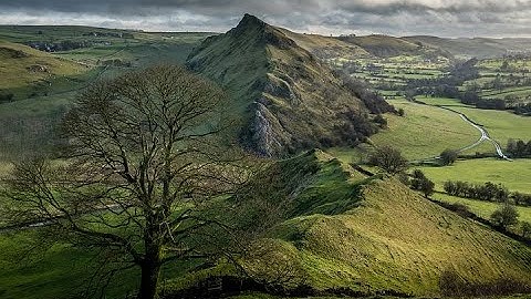 أرح سمعك بتلاوة خاشعة تدمع العين بصوت فضيلة الشيخ ماهر المعيقلي