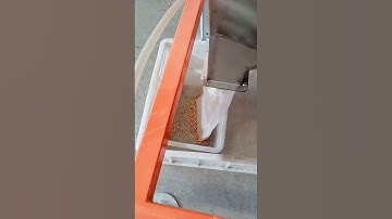 Color sorter selects moldy impurities from chili seeds #machine #factory #ricecolorsortermachine