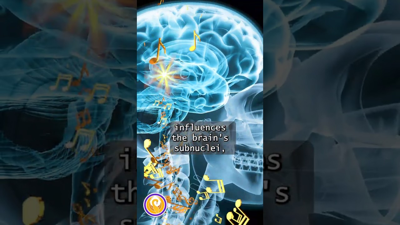 Music & the Subnuclei of Your Brain: Life Hack