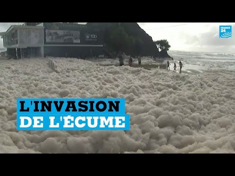 Vidéo: D'où vient l'écume de mer ?