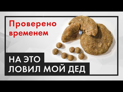 Видео: РЕЦЕПТ МОЕГО ДЕДА, на это ловят трофеи! (НЕ ХЛЕБ)