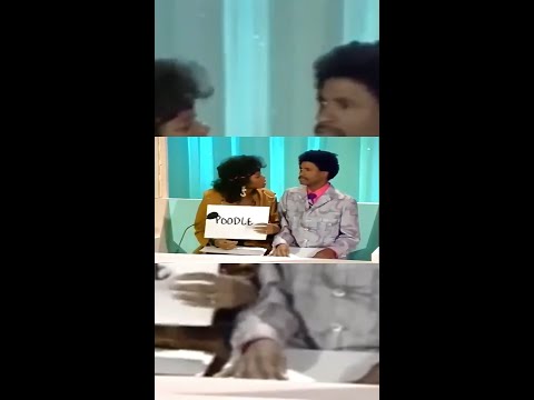 Throwing it back to the hilariously unpredictable Newlywed Game on In Living Color!
