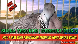 suara tekukur | derkuku kuk 3 full 1 jam buat pancingan tekukur yang malas bunyi by sasmo chanell