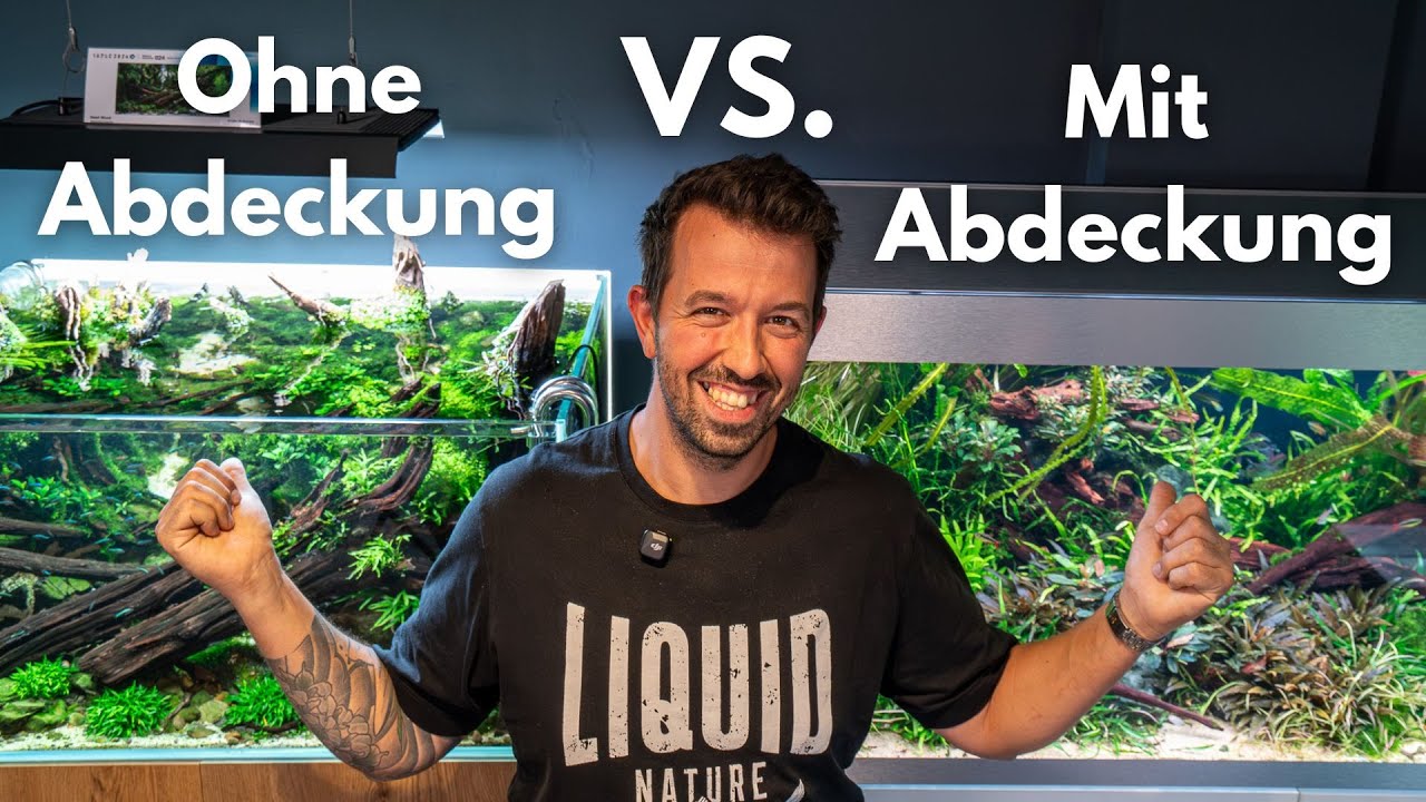 Offenes oder geschlossenes Aquarium – Was ist besser?